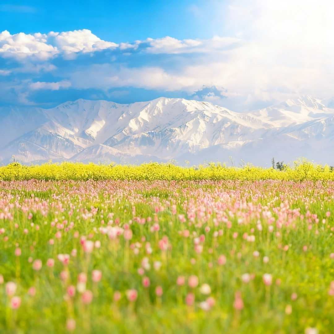 Kashmir tours