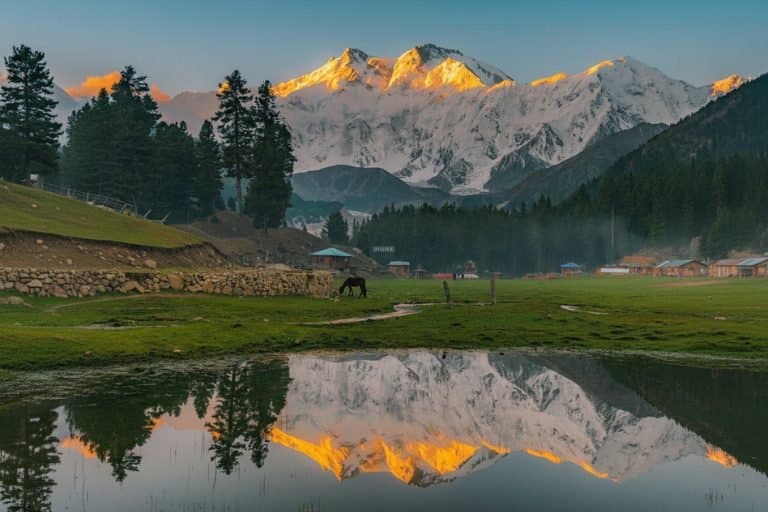 Kashmir (6)