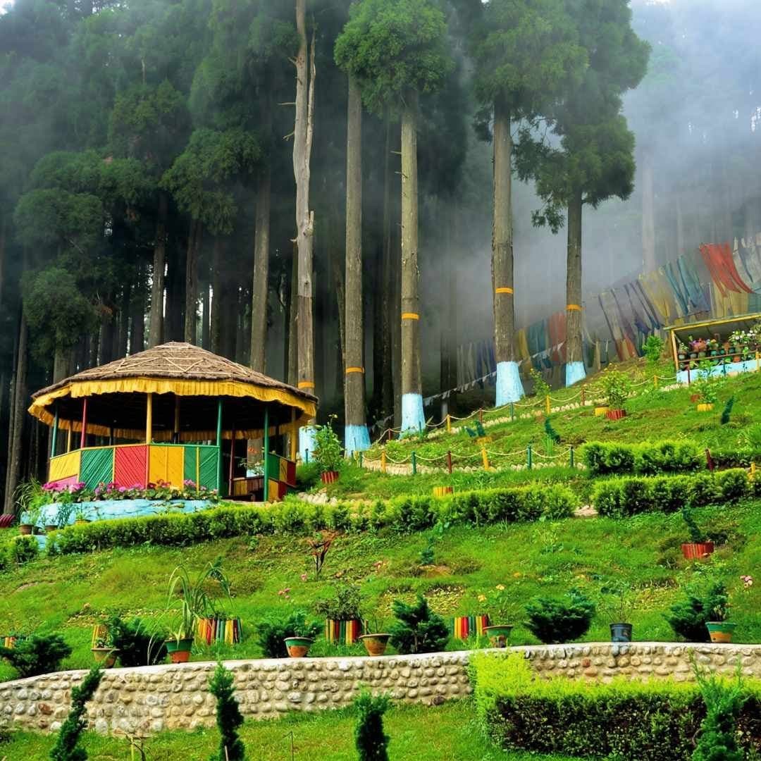 8 Nights Sikkim and Darjeeling Tour Package