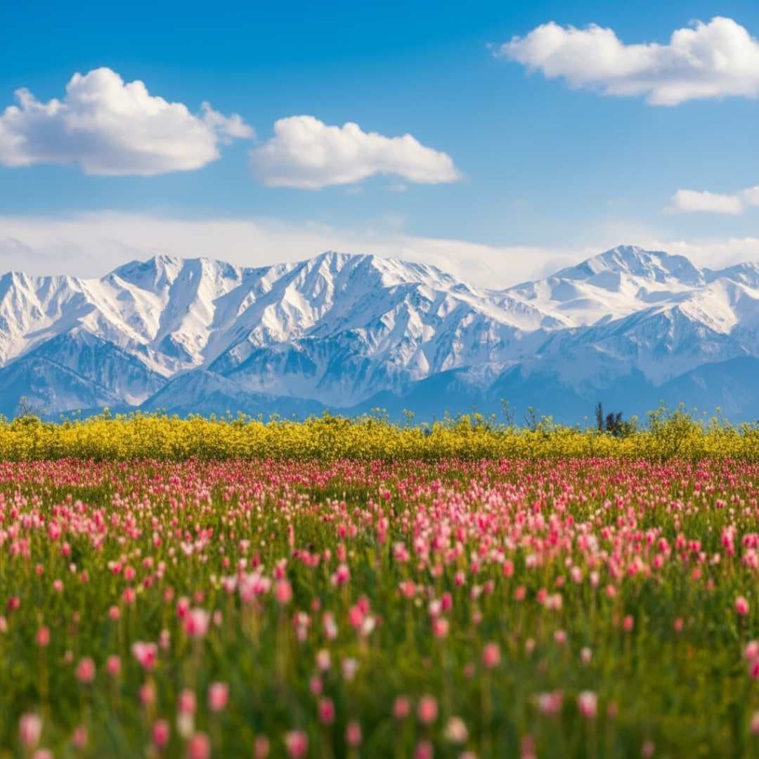 6 Days Kashmir Serenity Tour Package