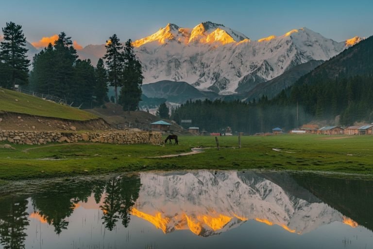 Kashmir (6)